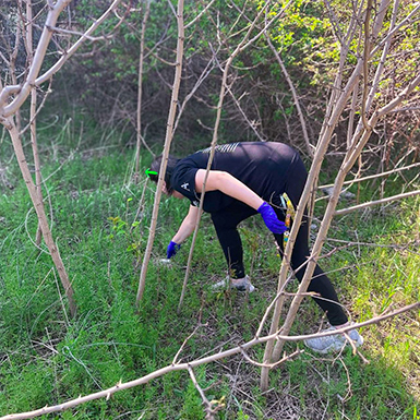 A team member at Vitalia North Royalton cleans up a wooded area on property.